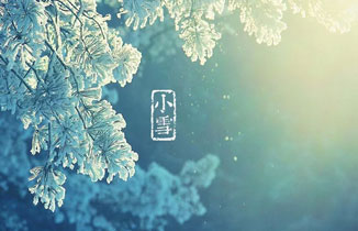 今日小雪 | 小雪雪滿天，來年必豐年！